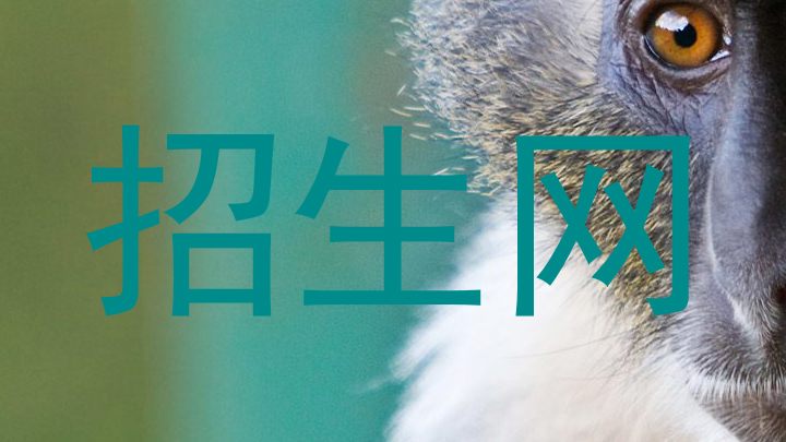 招生网