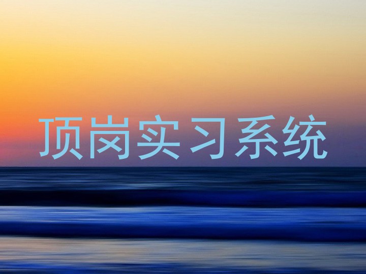 顶岗实习系统