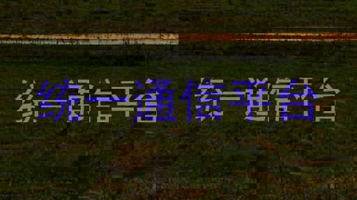 統(tǒng)一通信平臺(tái)