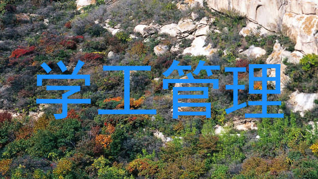 学工管理