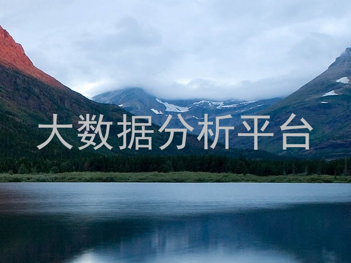 大数据分析平台