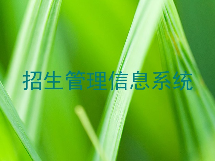 招生管理信息系统