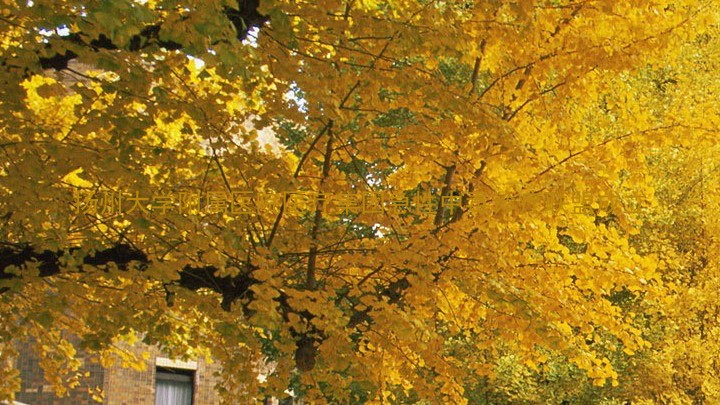 扬州大学附属医院医疗集团急性中毒诊疗联盟成立