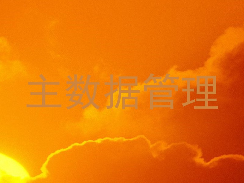 主数据管理