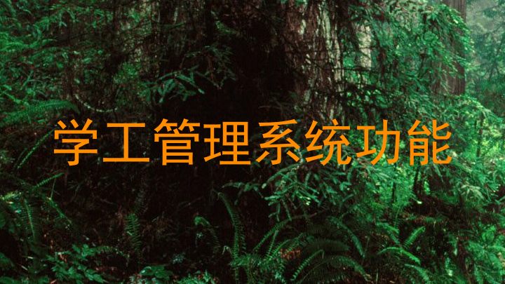 学工管理系统功能