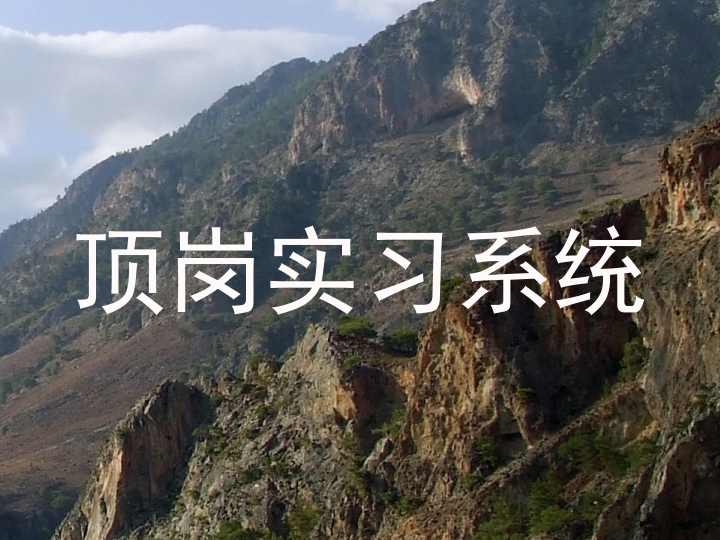顶岗实习系统