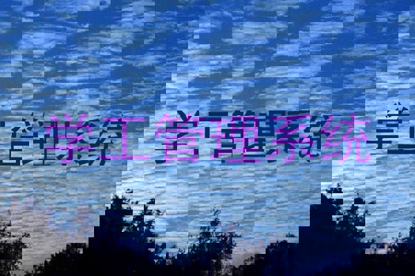 学工管理系统