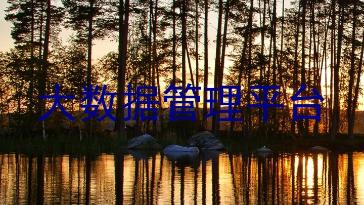 大数据管理平台