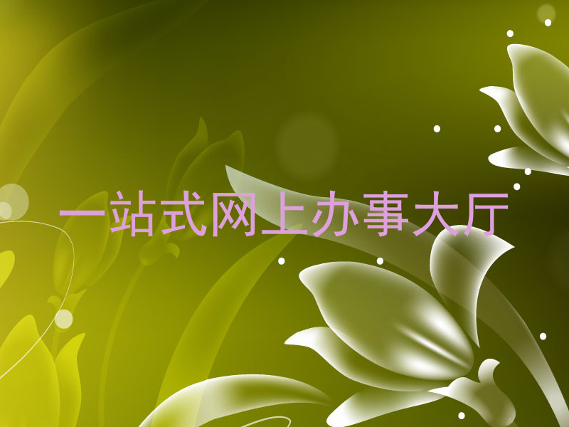 一站式网上办事大厅