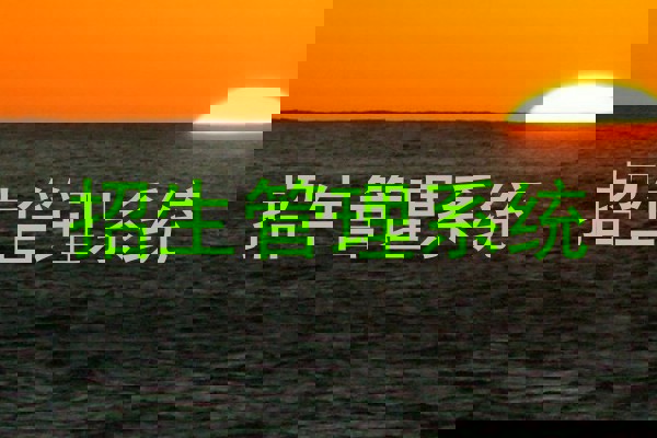 招生管理系统