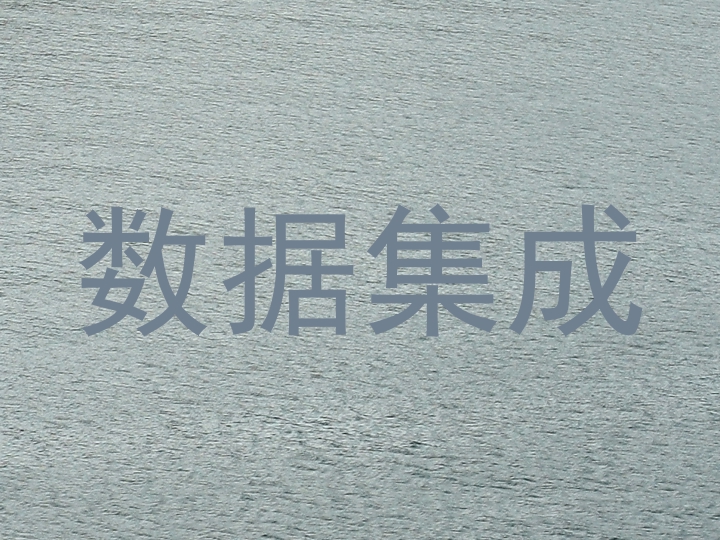 数据集成