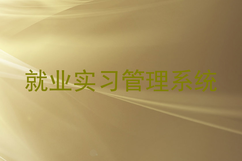 就业实习管理系统