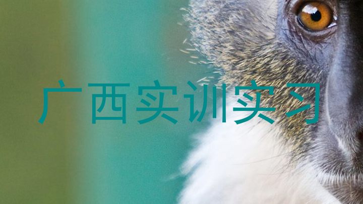 广西实训实习
