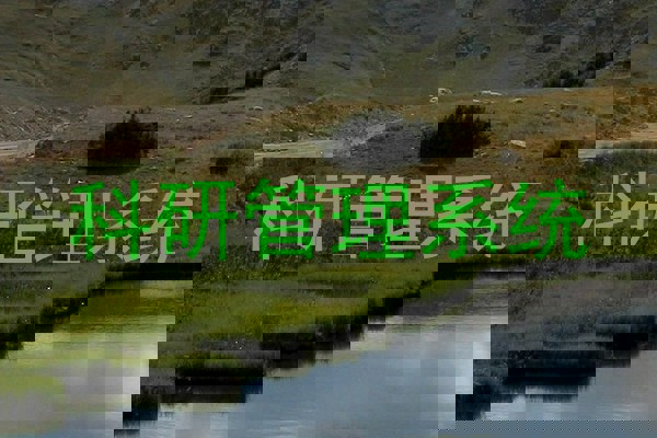 科研管理系统
