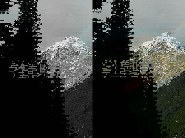 学生管理信息系统