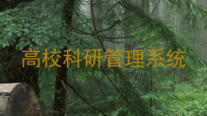 高校科研管理系统