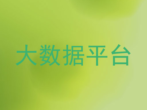 大数据平台