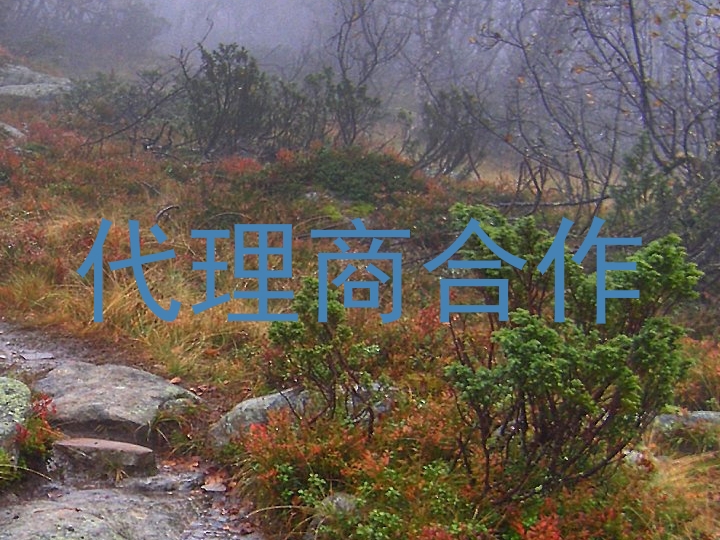 代理商合作