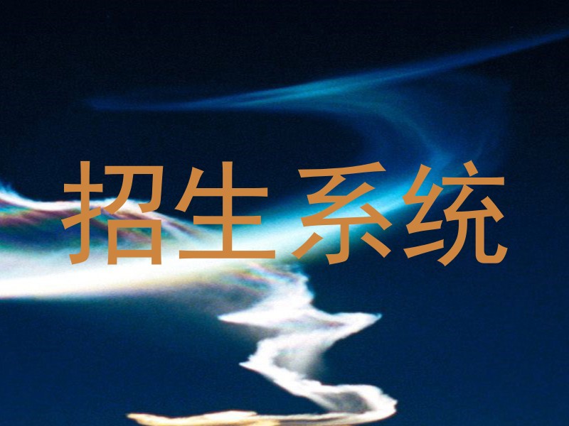 招生系统