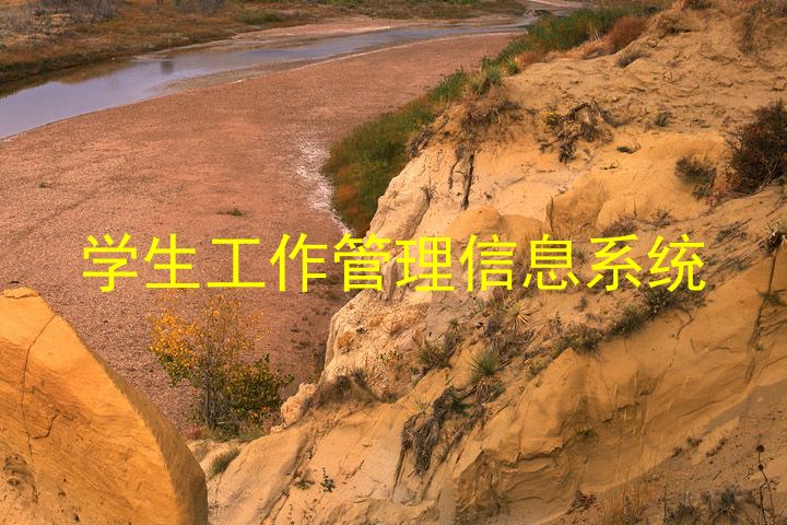学生工作管理信息系统