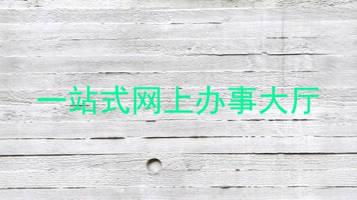 一站式网上办事大厅