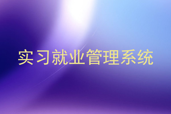 实习就业管理系统