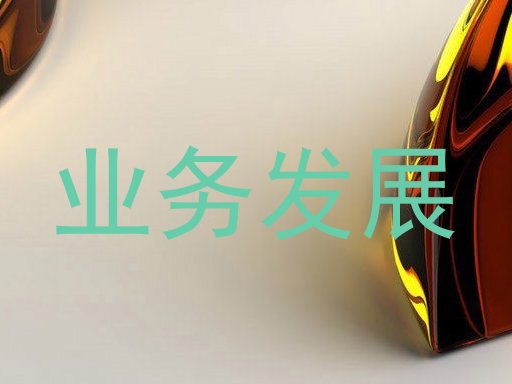 業(yè)務(wù)發(fā)展