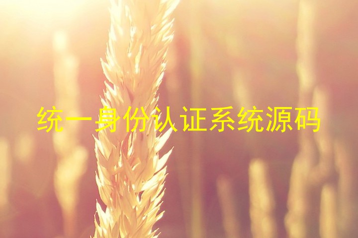 统一身份认证系统源码