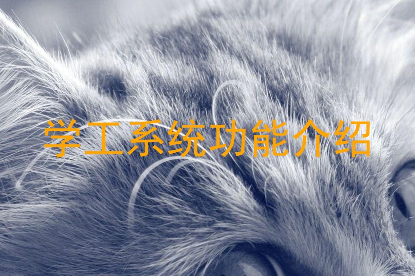 学工系统功能介绍