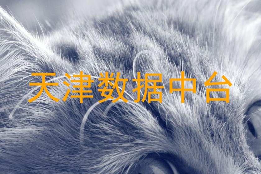 天津数据中台