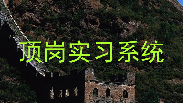 顶岗实习系统