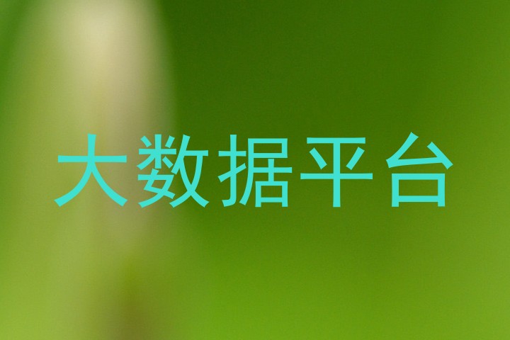 大数据平台