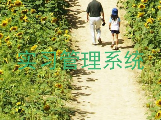 实习管理系统