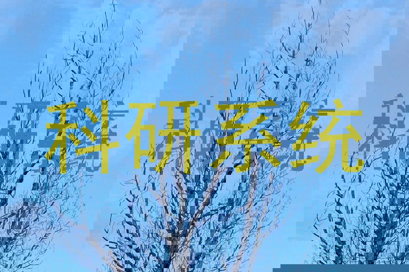 科研系统