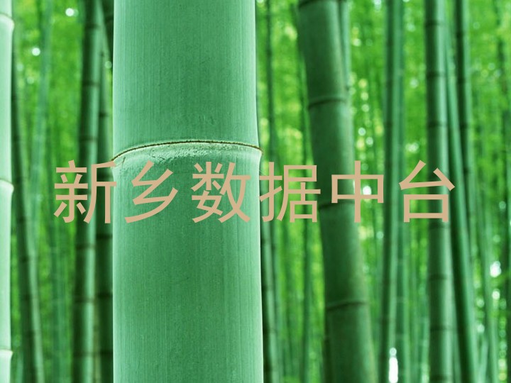 新乡数据中台