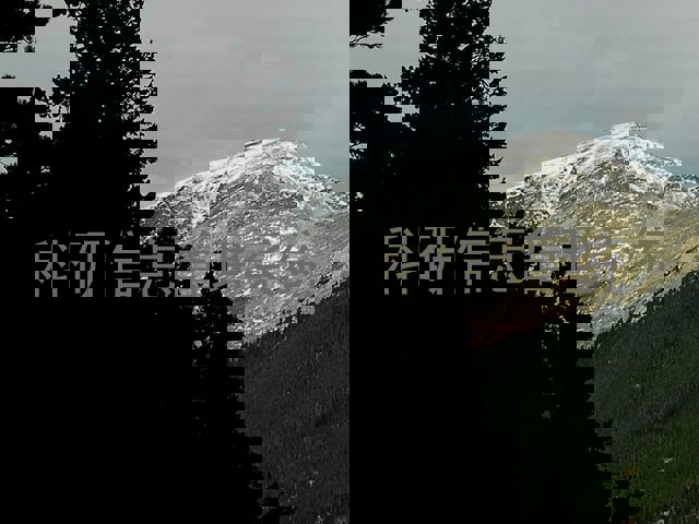 科研信息管理系统