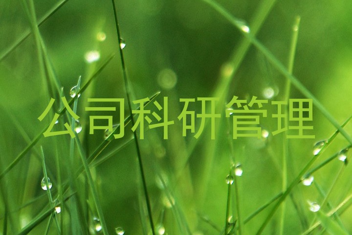 公司科研管理