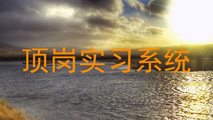 顶岗实习系统