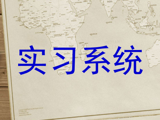 实习系统