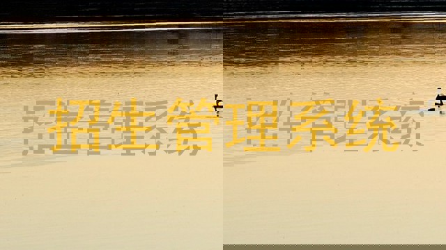 招生管理系统
