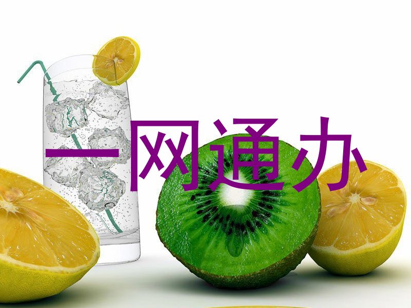 一网通办