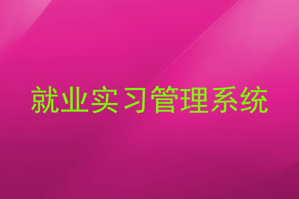 就业实习管理系统