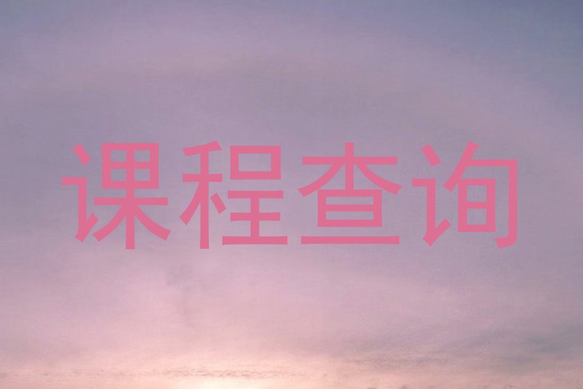 课程查询