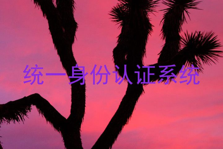 统一身份认证系统