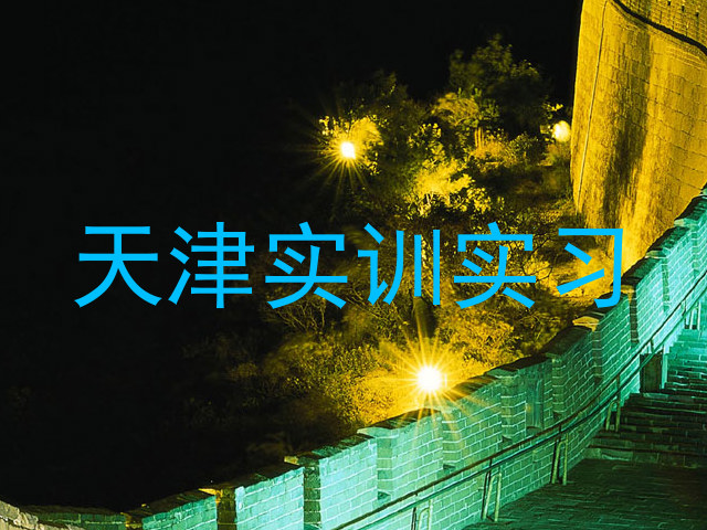 天津实训实习