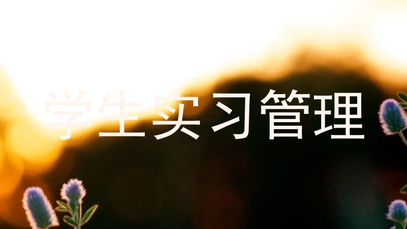 学生实习管理