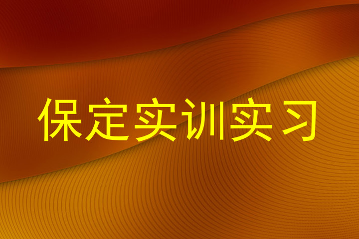 保定实训实习