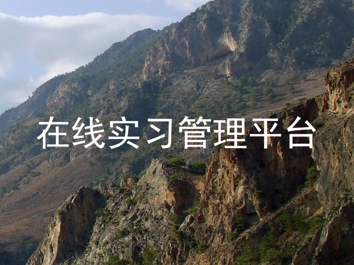 在线实习管理平台