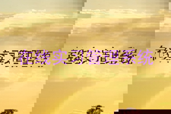 在线实习管理系统