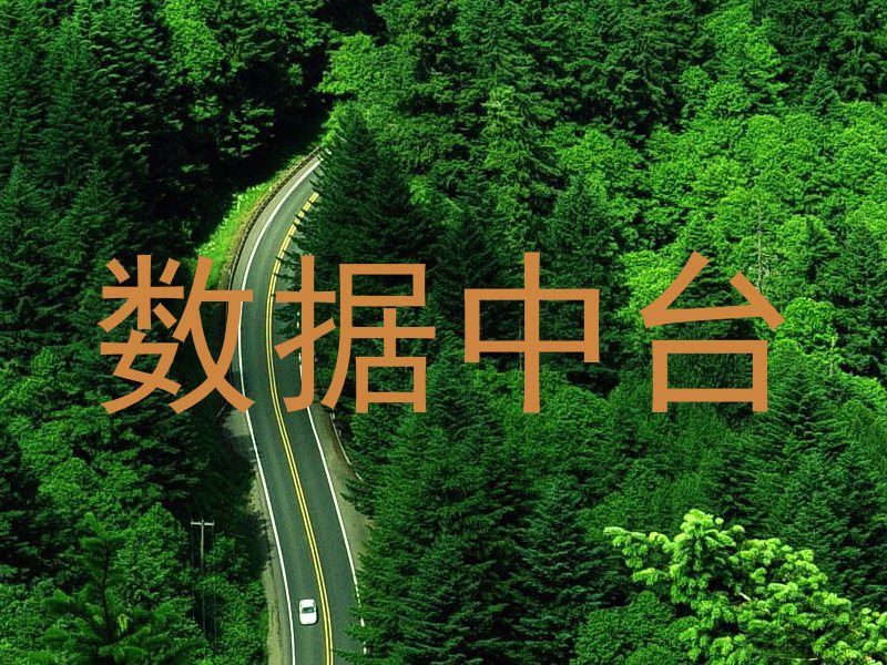 数据中台